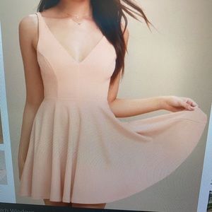 Darling Delight Blush Skater Dress